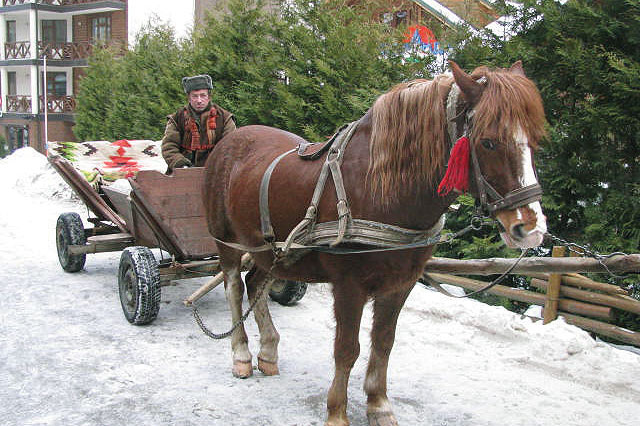 Horsedrawn carts with jingling sleighbells serve as taxis in the resort ski village of Bukovel.
