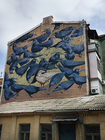 A mural of ravens and other birds adorns a wall opposite from the cage that holds two steppe ravens in the courtyard of 9 Reitarska St. near the Golden Gate.